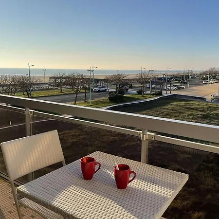 Appartamento Appartement Renove 2 Pieces Avec Balcon Et Parking, A 50M De La Plage - Fr-1-224C-9 *